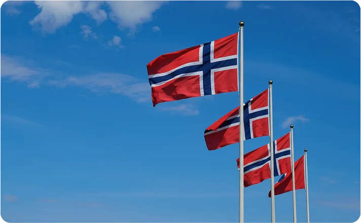 Umzug Norwegen Flags